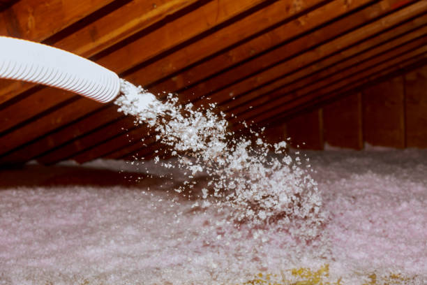 Best Cellulose Insulation in Culloden, WV